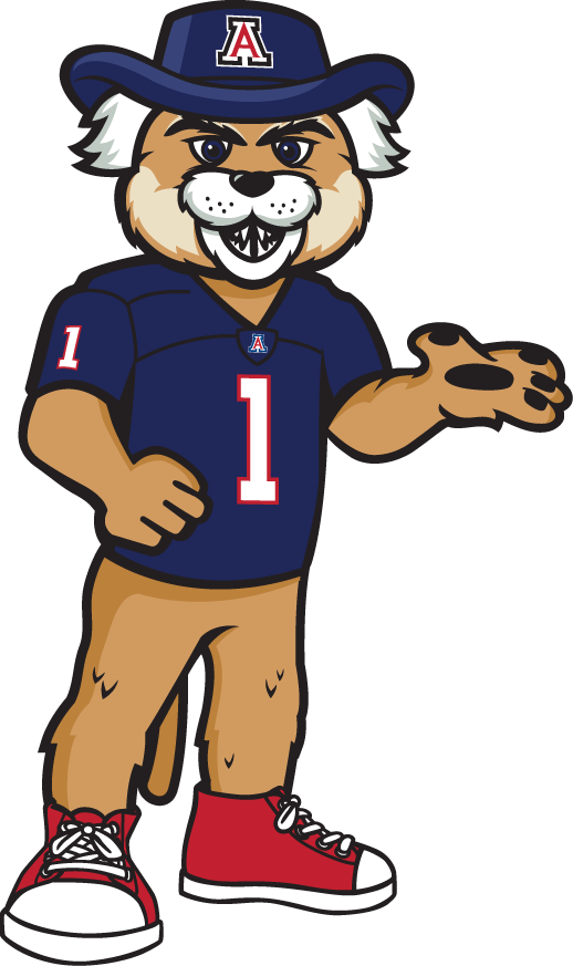 Arizona Wildcats 2013-Pres Mascot Logo v4 iron on transfers for T-shirts